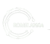 https://romelanka.com/wp-content/uploads/2025/08/White-with-Green-scaled-e1754222897695.png